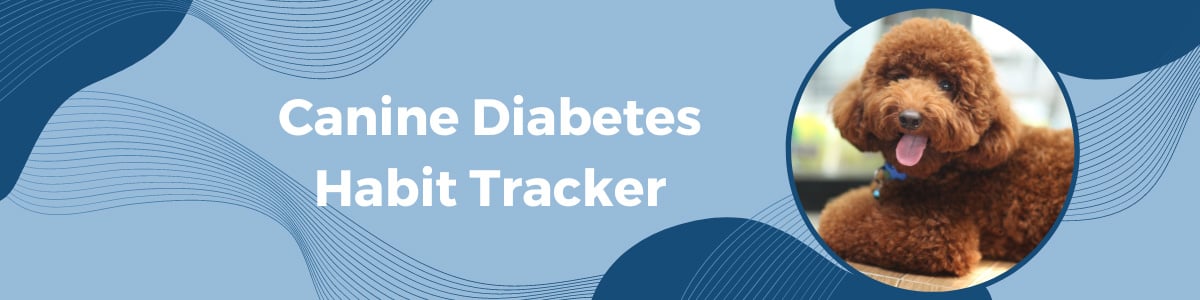 Dog Diabetes Meal &amp; Insulin Log — Free Download | Preventive Vet